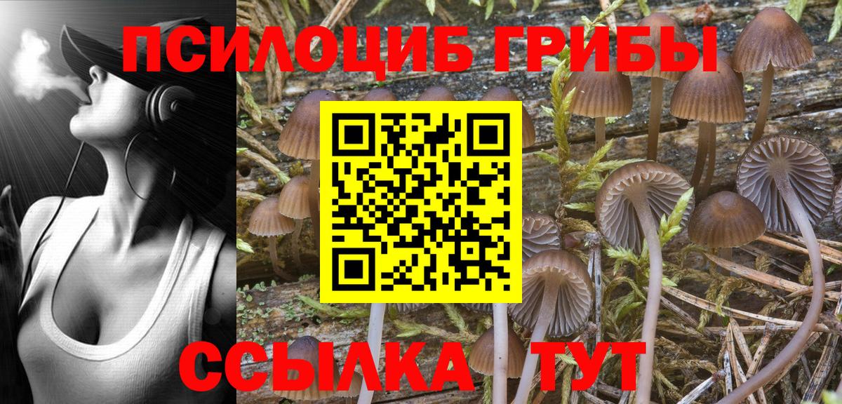 Азов  Псилоцибиновые грибы Psilocybe  Вход с VPN 