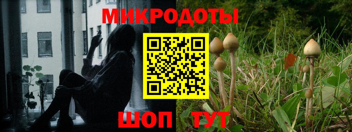 Псилоцибиновые грибы мухоморы Азов